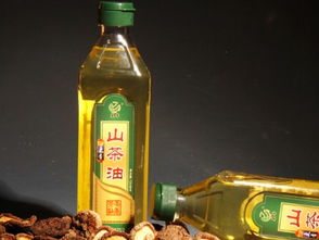 食用油選擇指南 從標(biāo)簽到搭配，科學(xué)選油更健康